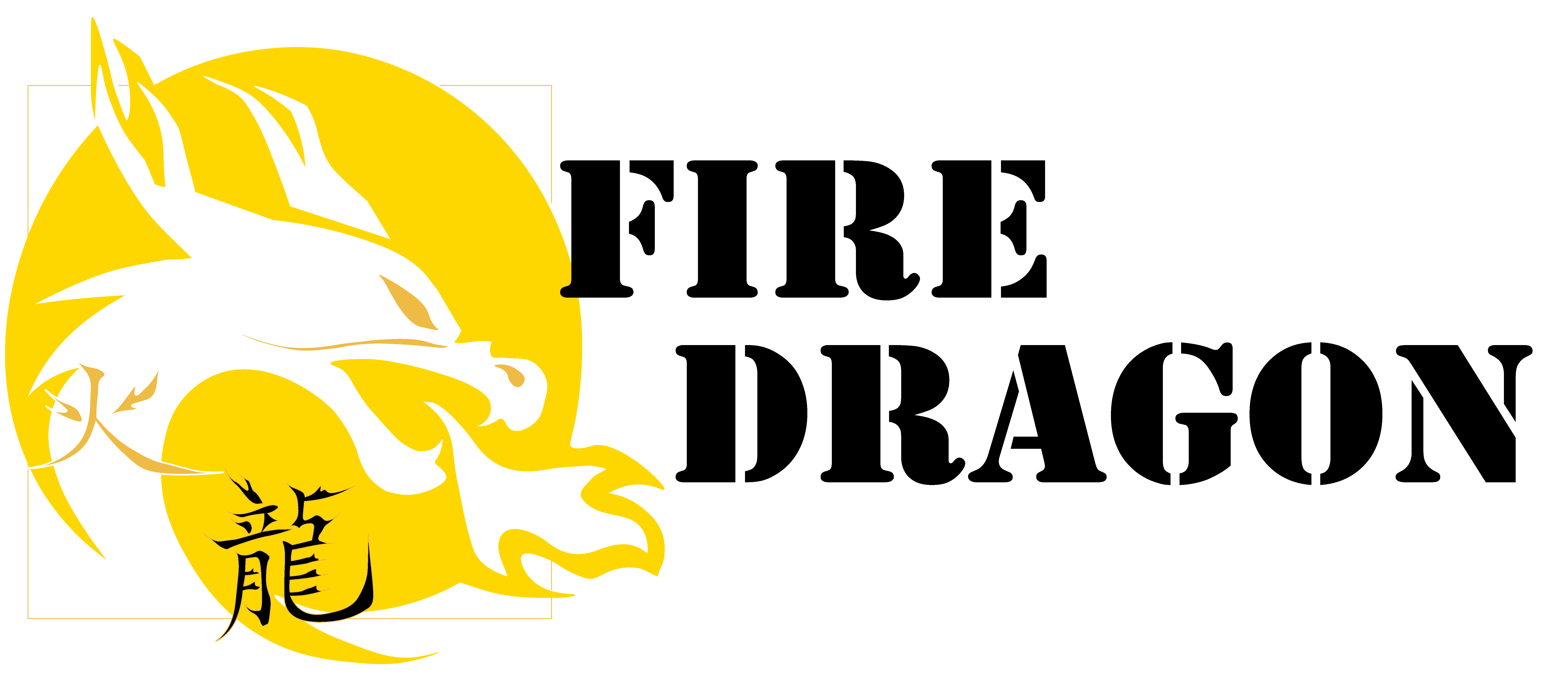 Fire Dragon Enterprise Logo